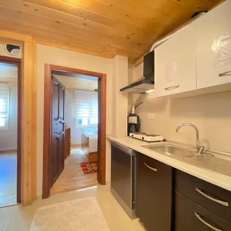 Historical Duplex Villa With Closed Patio In Beyoglu Hébergement de vacances