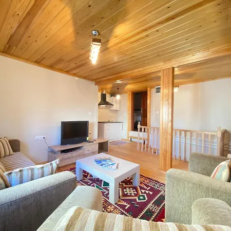 Historical Duplex Villa With Closed Patio In Beyoglu *