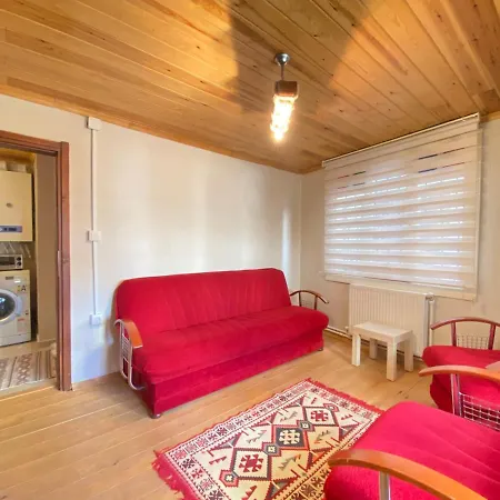 Historical Duplex Villa With Closed Patio In Beyoglu * Istambul