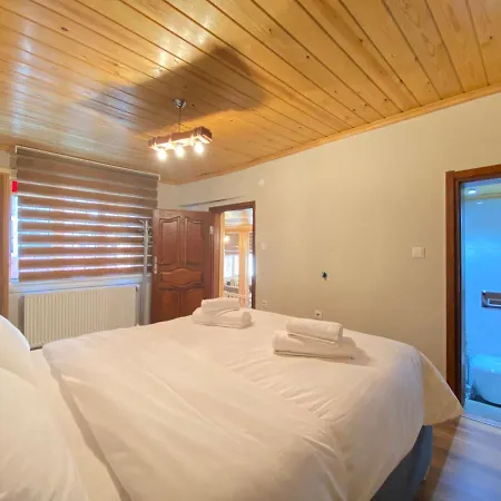 Historical Duplex Villa With Closed Patio In Beyoglu Hébergement de vacances *