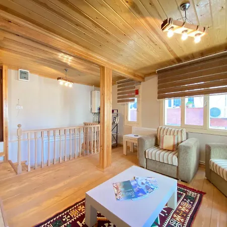 Historical Duplex Villa With Closed Patio In Beyoglu * Istambul