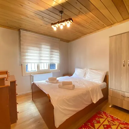 Hébergement de vacances Historical Duplex Villa With Closed Patio In Beyoglu