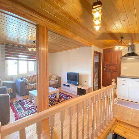Historical Duplex Villa With Closed Patio In Beyoglu